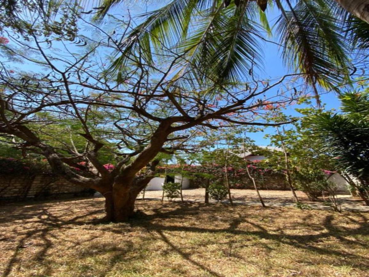 Silver Rock Hotel & Beachfront Apartments Malindi Esterno foto